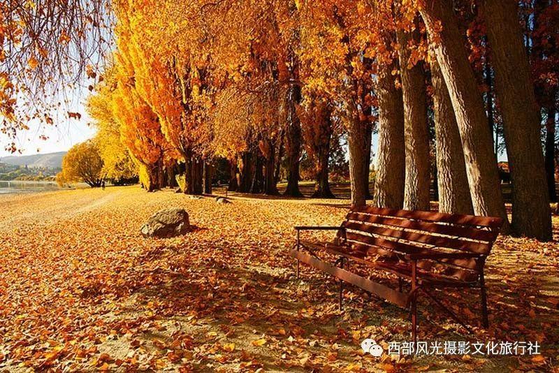 在结婚之前，一定要考虑好哪些问题？游戏画面